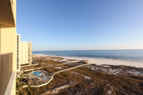 Phoenix VII 913 by Liquid Life near Gulf Shores Steamer