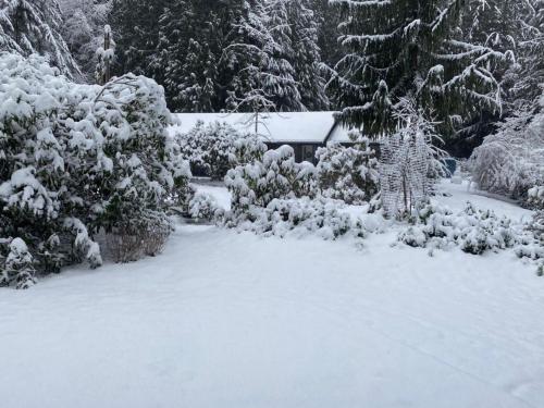 Perch - Island Hideaway Perch - Island Hideaway