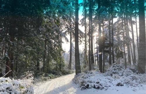 Perch - Island Hideaway Perch - Island Hideaway