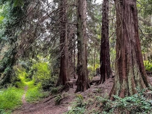 Perch - Island Hideaway Perch - Island Hideaway