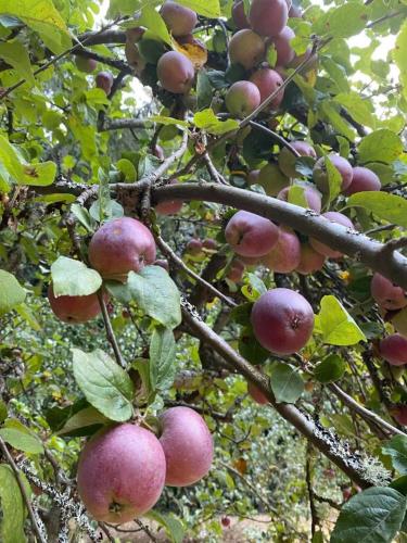 Perch - Island Hideaway Perch - Island Hideaway