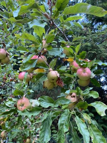 Perch - Island Hideaway Perch - Island Hideaway