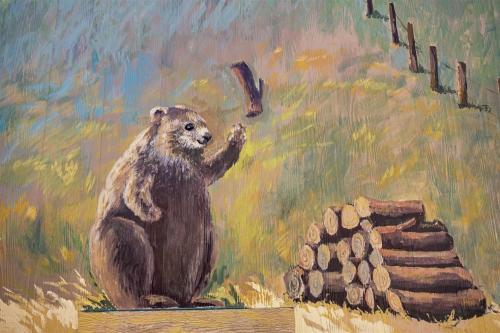 Woodchuck Flat - image 11