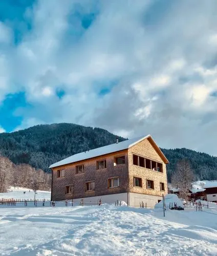 Appartement Holderstauden in Schoppernau, Österreich