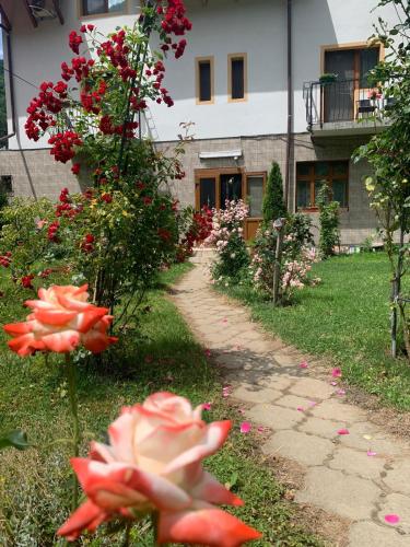 Pension RouaDeMunte - image 4