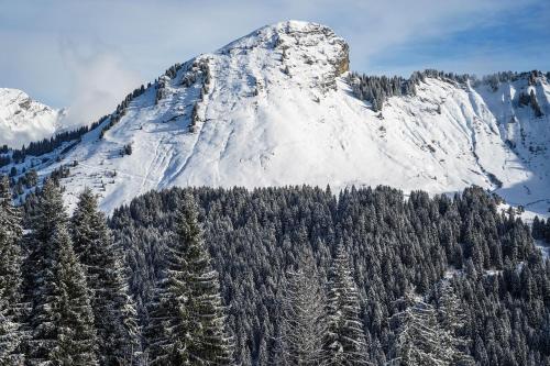 Attraksjoner i nærheten, Village Vacances Le Chablais in Morzine
