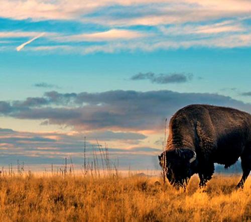 Hidden Gem! Private Guest Home Hidden Gem! Private Guest Home