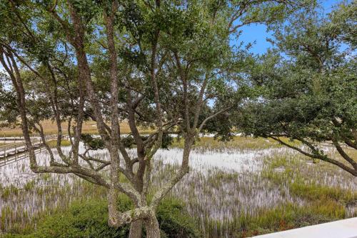 1728 Fiddlers Cove 1728 Fiddlers Cove