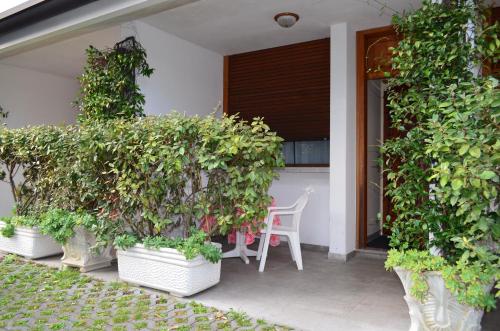 Hotel Magnolia - image 11