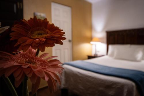 Hotel Casa San Miguel