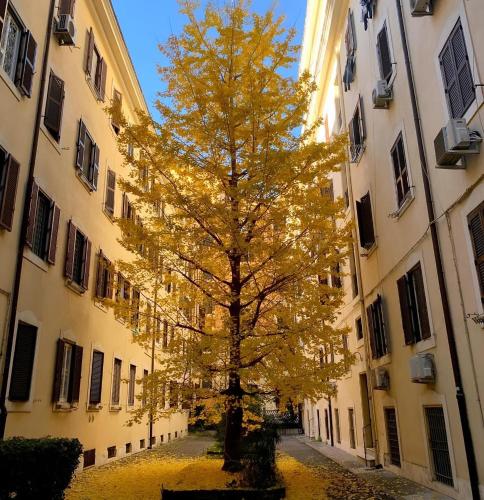 La Spezia 28 Royal, Рим (фото 3)
