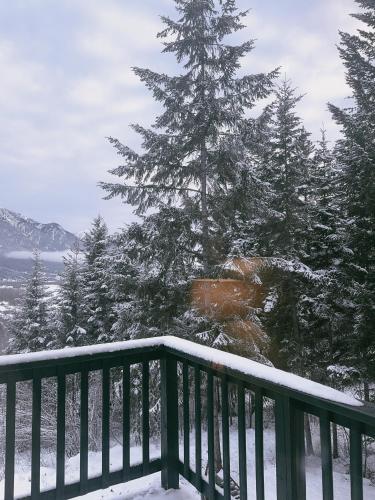 Alpine Meadows Lodge - Tap to explore photos