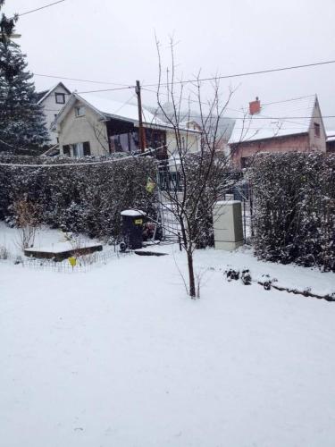 Charming Vienna Retreat with Garden Metro Access, Vienna (foto 8)