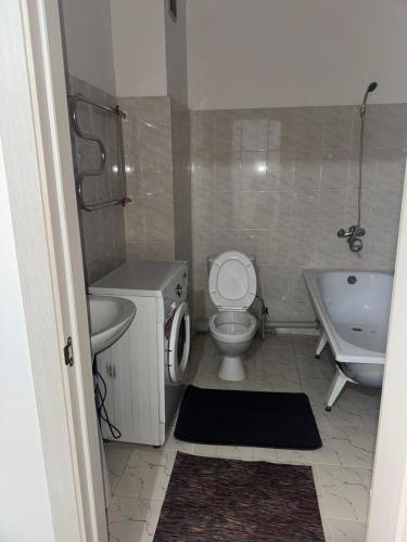 1 bedroom apartment Alem City 3 in Akzhar