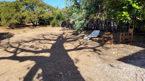 Dārzs, KASA BOUBAK avec cuisine extérieure à 50 M DE LA PLAGE (KASA BOUBAK avec cuisine exterieure a 50 M DE LA PLAGE) in Kafountine