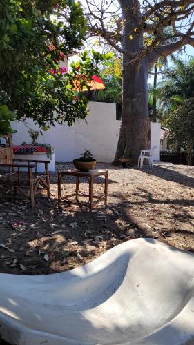 Dārzs, KASA BOUBAK avec cuisine extérieure à 50 M DE LA PLAGE (KASA BOUBAK avec cuisine exterieure a 50 M DE LA PLAGE) in Kafountine