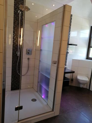 Zuhanyzó, Moderne und ruhige Ferienwohnung in Feuchtwangen