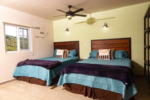 Cuatro cabañas 4,5,6 y 7 y una casa de dos pisos