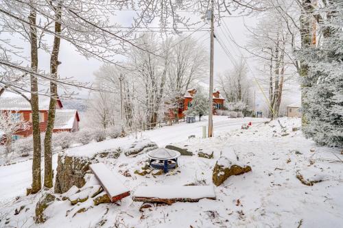 Beech Mtn Home with Fire Pit 5 Mins to Resort! - image 13