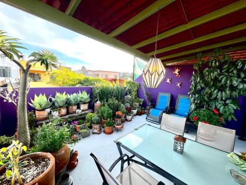 Casa Golondrina - Casa with Terrace 4 people, 2 bd, in Centro in San Miguel de Allende, Mexico
