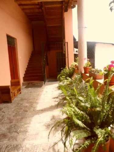 Casa Paulina Quito Ecuador - image 3