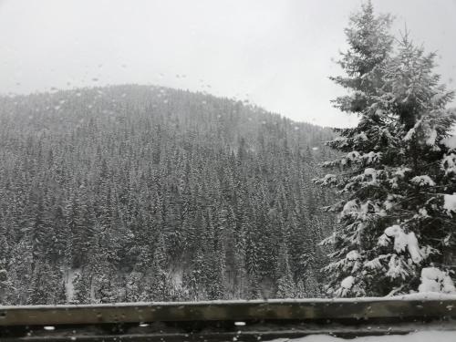 Jelena in Nova Varoš