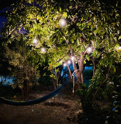 tuin, Rangiroa Ohana House in Avatoru