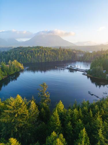 景觀, Calmwater Retreat New 2 br Hot Tub in 尤克盧利特市中心