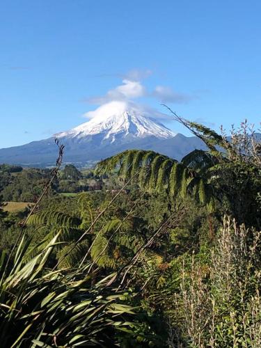 Tranquil Studio in Frankleigh Park