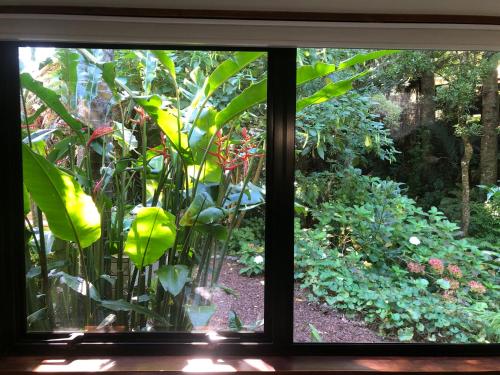 Tranquil Studio in Frankleigh Park