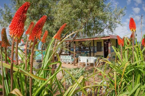 Kert, Malealea Lodge in Maseru