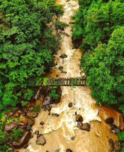 Alora Homestay in Balehalla