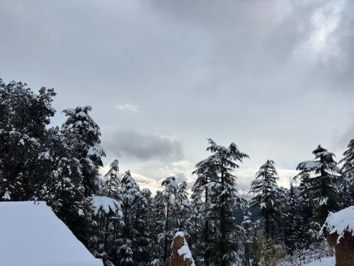 Sunrise home stay in 卡亞爾