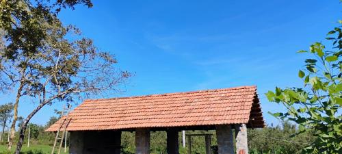 Bettadakeshvi homestay in Belur