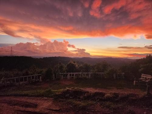 View, SafarnamaStays Homestay Camping Room Markham Mafhawnlur Meghalaya in Mylliem