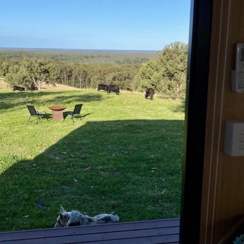 Amaroo One by Tiny Away, Tuncurry (photo 7)