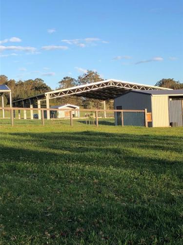 Amaroo One by Tiny Away, Tuncurry (photo 9)