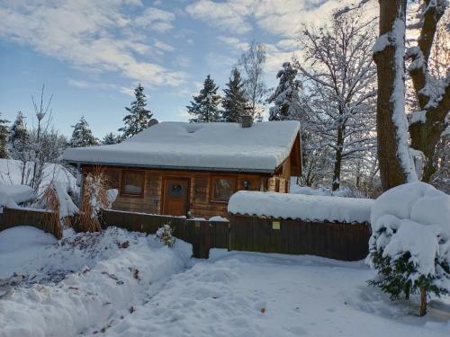 靠近捷克布傑約維采的多德里貝山林小屋 (Doudleby u Ceskych Budejovic) in 多烏德萊比
