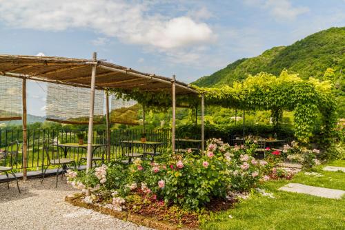 Azienda Agricola Ca' Piadera - image 4