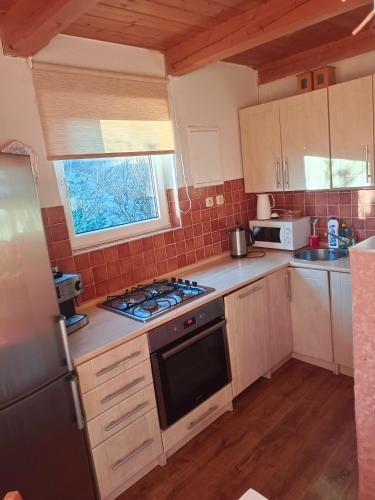 靠近捷克布傑約維采的多德里貝山林小屋 (Doudleby u Ceskych Budejovic) in 多烏德萊比