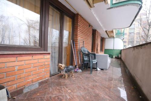 Apartment in Center of Sarajevo Apartment in Center of Sarajevo