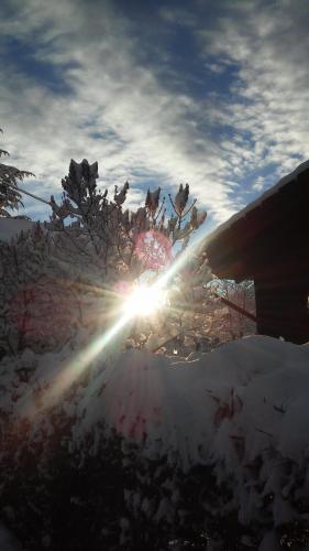 Les Vrais Rayons - image 10