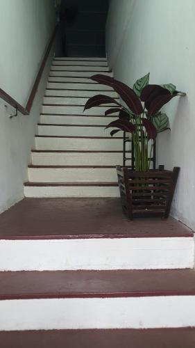 Aristar Homestay in Jengka