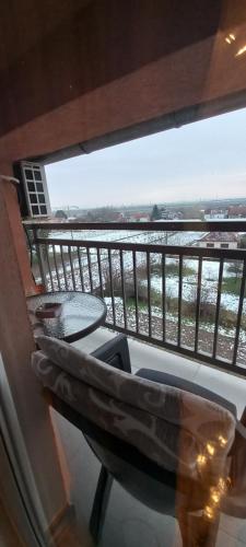 貝爾格勒 Apartman EXPO Surcin 4星级 单人房 客房