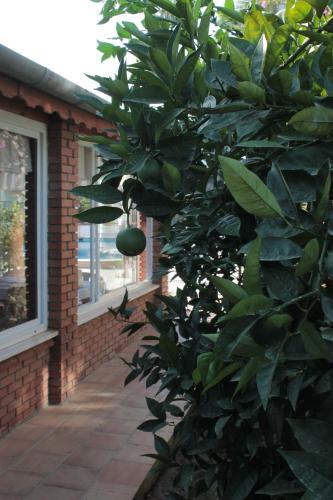 Crescent Hasirci Hotel - image 8
