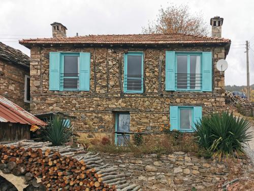 Viesnīcas āriene, Вила 'Гнездото', Villa 'The nest', Rhodope mountains, Banite in Banite