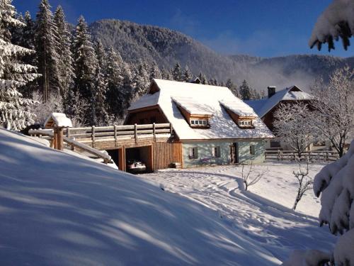 La Lince Lodge - Chalet - Camporosso in Valcanale