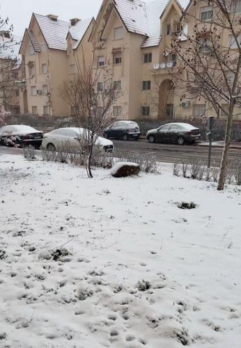 Fully equipped apartment in ifrane