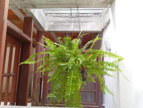 Brisas do Canal in Palmeiras