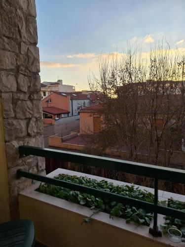 玛格丽特SPA酒店